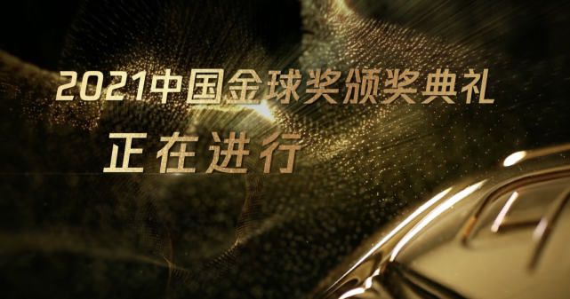 国内自拍成人网在线视频